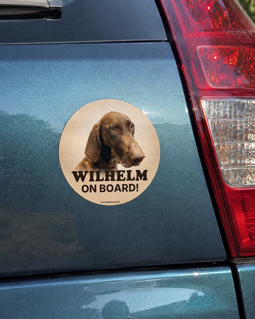HondOnBoard voorbeeld